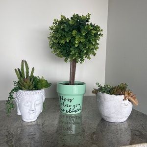 Artificial succulents (all three included)
